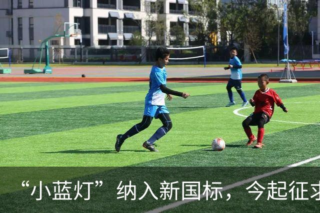 “小蓝灯”纳入新国标，今起征求意见！L3级以下车辆禁止安装，禁止显示文字和人脸图案，禁止使用手势和语音控制车灯……