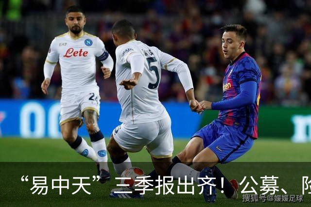 “易中天”三季报出齐！公募、险资加仓
