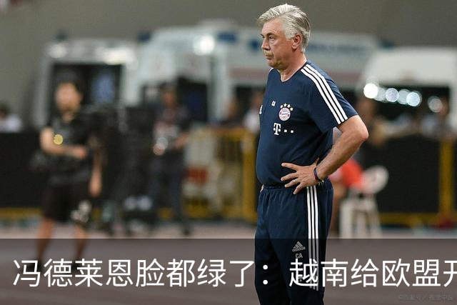 冯德莱恩脸都绿了：越南给欧盟开了开眼：这就是“中国力量”！