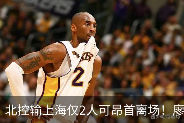 北控输上海仅2人可昂首离场！廖三宁成进攻大核，张帆顶级输出！