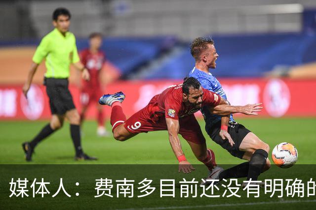 媒体人：费南多目前还没有明确的下家