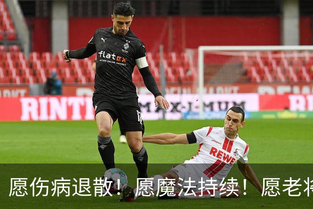 愿伤病退散！愿魔法持续！愿老将常青！愿新人茁壮成长！