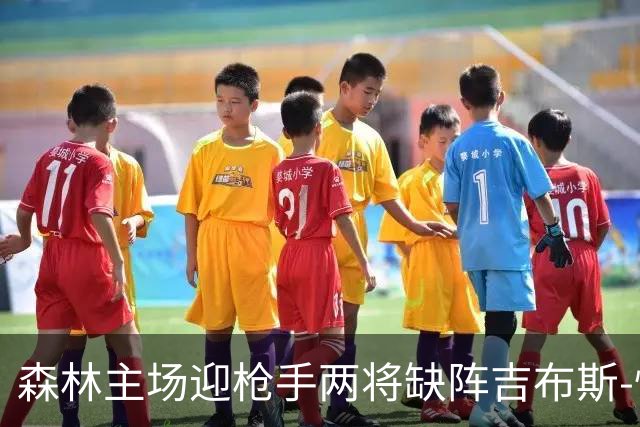 森林主场迎枪手两将缺阵吉布斯-怀特存疑