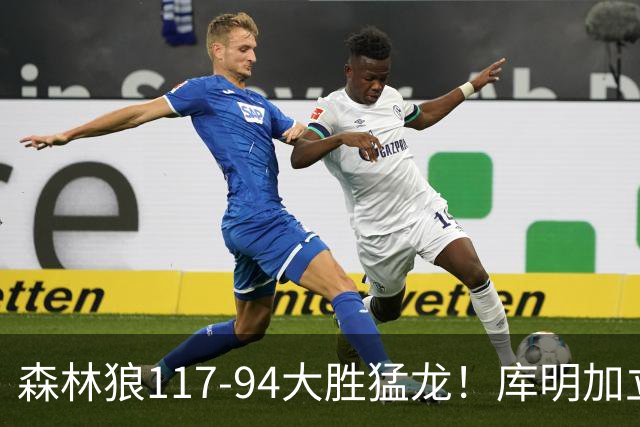 森林狼117-94大胜猛龙！库明加立大功，此战看到4个事实：8换2交易很值得