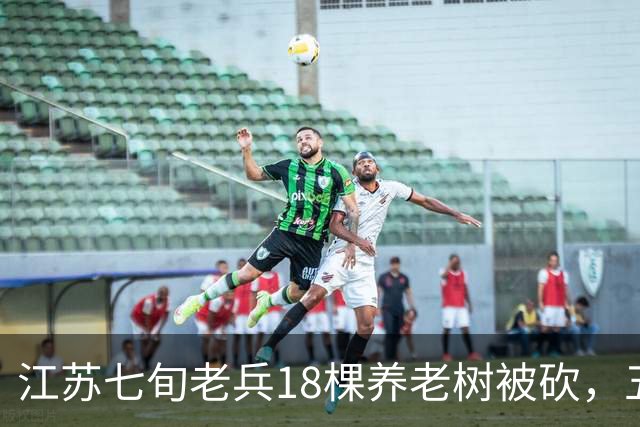 江苏七旬老兵18棵养老树被砍，五次赴省反映后被送派出所
