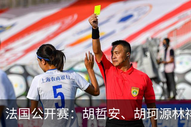 法国公开赛：胡哲安、胡珂源/林祥毅打入八强冲击半决赛