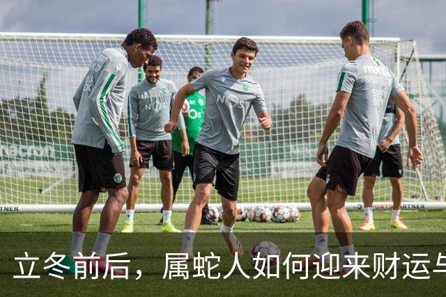 立冬前后，属蛇人如何迎来财运与人脉的双重惊喜？