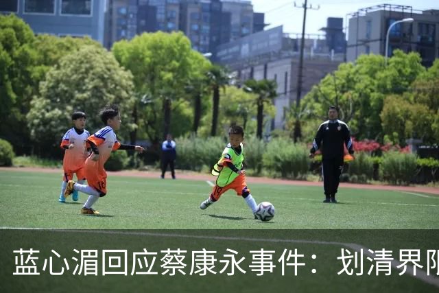 蓝心湄回应蔡康永事件：划清界限表明立场，暗指对方不是无心踩雷