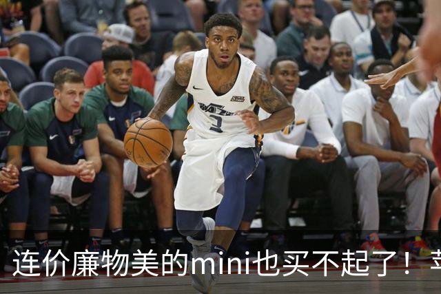 连价廉物美的mini也买不起了！苹果iPad mini8开售，顶配版破万