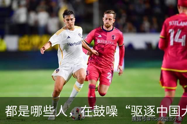 都是哪些人，在鼓噪“驱逐中国大使”？