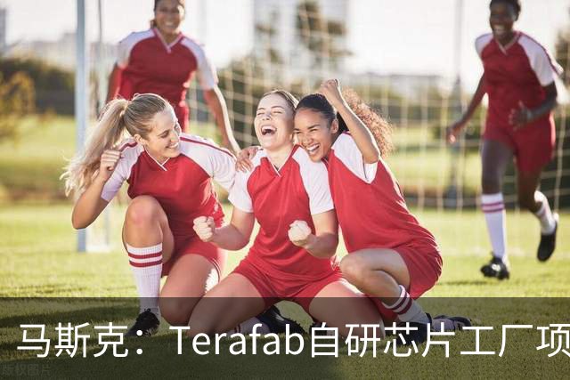 马斯克：Terafab自研芯片工厂项目进展迅速 目标是在2028年第三季度实现某种实用芯片规模化量产